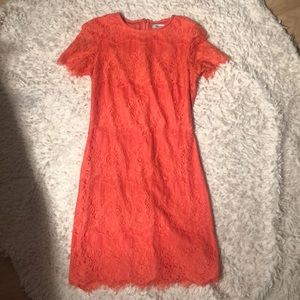 Kensie lace dress